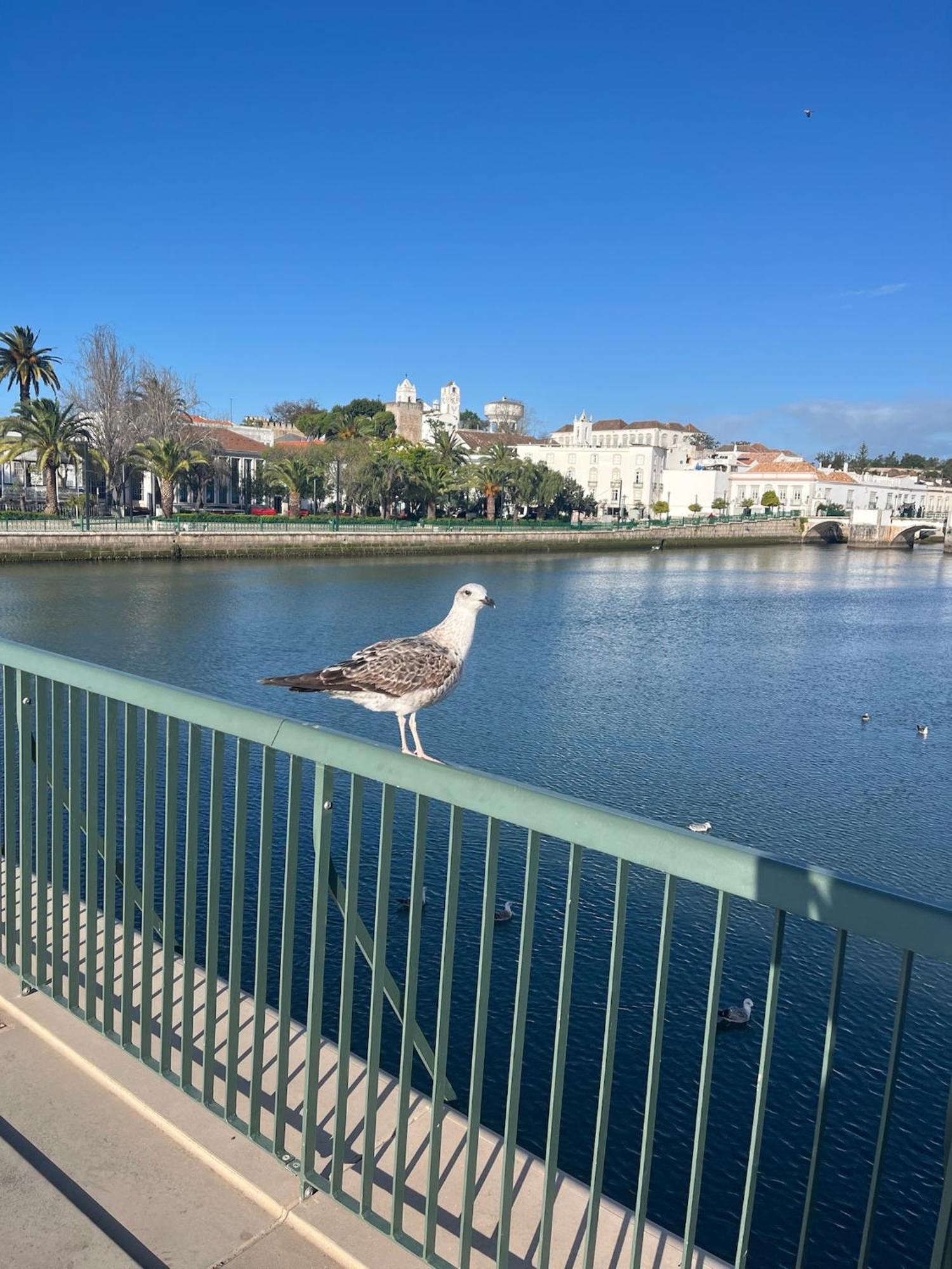 Stylish Townhouse With Gallery In The Heart Of Tavira For Two Тавира Екстериор снимка